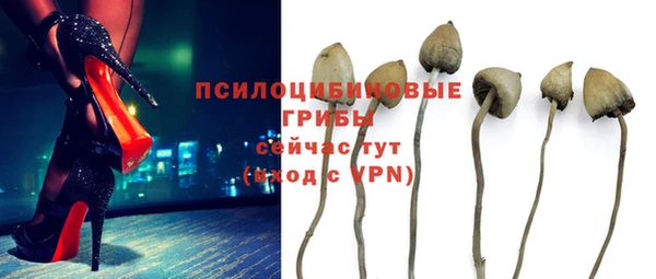 Альфа ПВП Кодинск