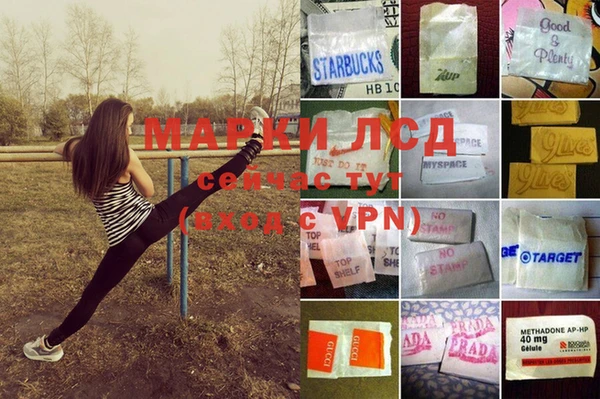 ECSTASY Козловка