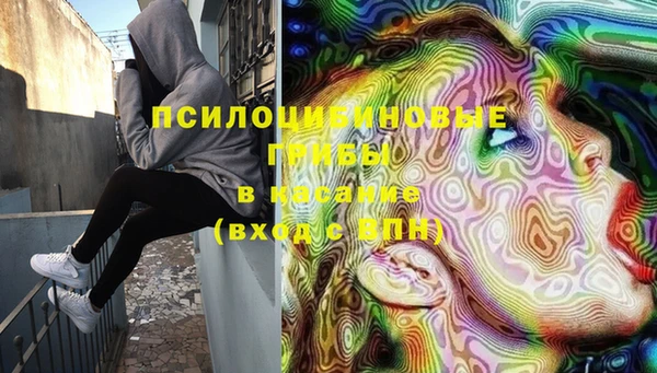 ECSTASY Козловка